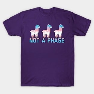 Not A Phase Trans T-Shirt